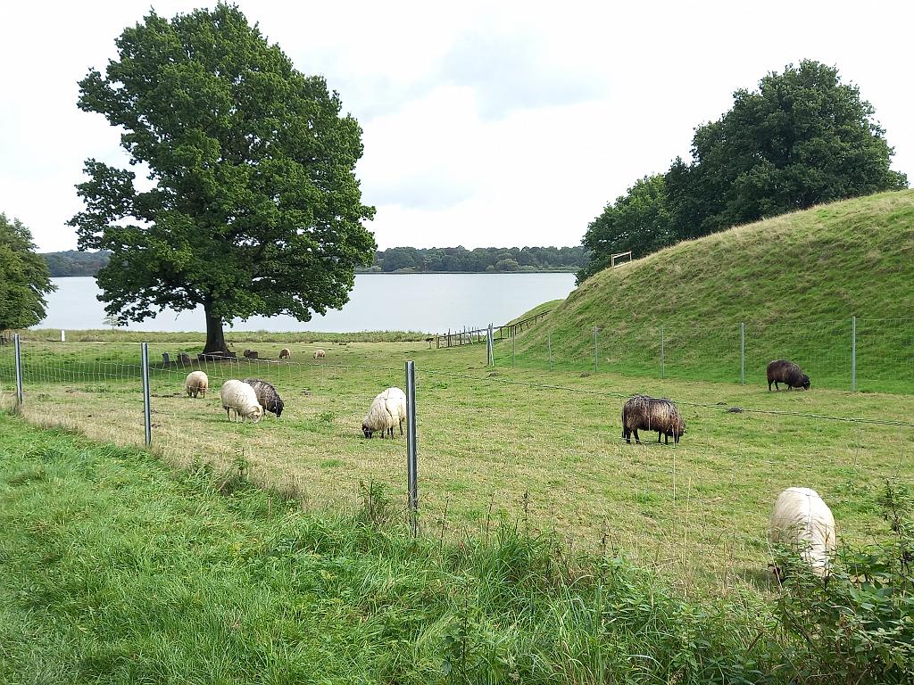 SchleswigKappeln (61)